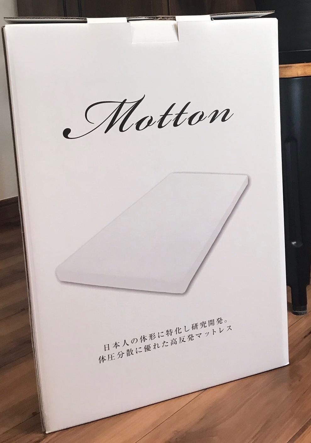 ���b�g���̔�